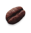 bean